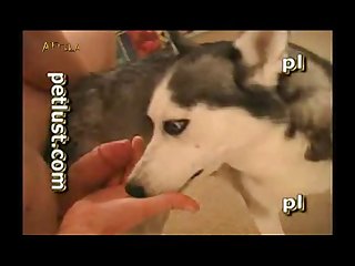 Peliculas Zoofilia Completas