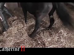 Sexy Girl Porn With Animal Xxx
