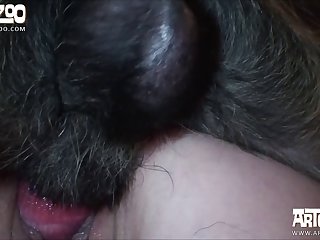 Amateur Zoofilia Anal