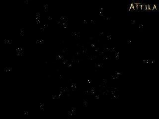 Xnxx Porno Animal
