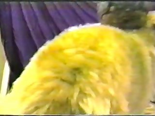 Porno Casal E Animal