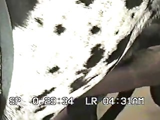 Tight Anal Porn Xxx