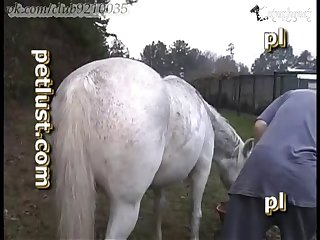 Porn Xxx Sex Mex