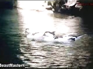 Xxx Porn Pics Amateurs