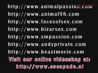 Free Animal Sex Porn Video